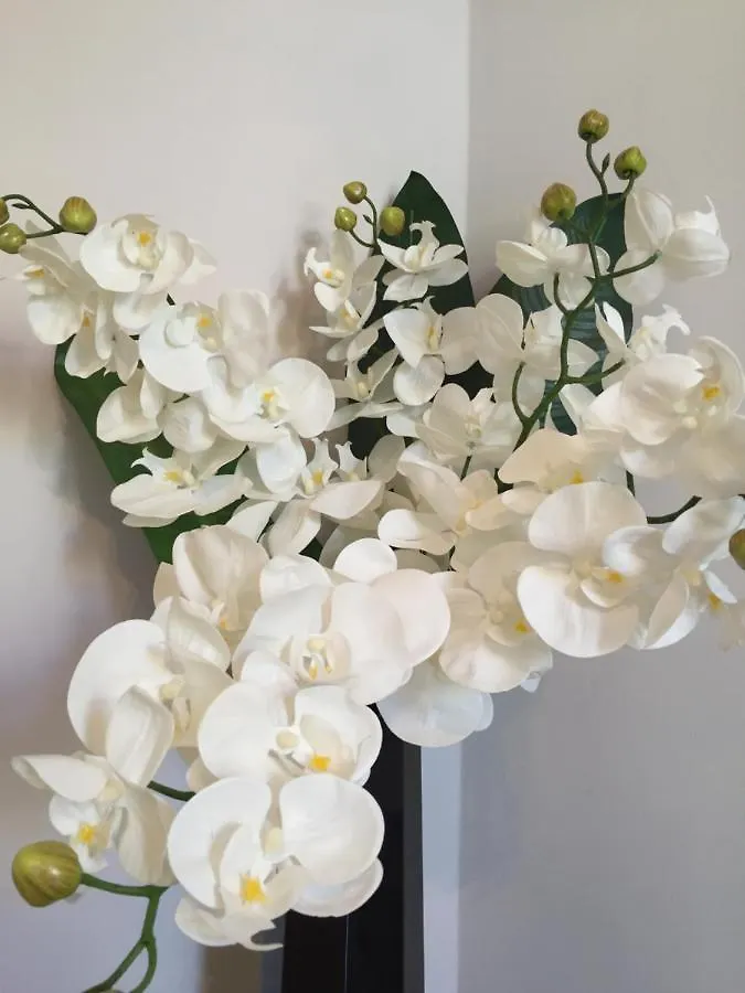 アパート Central Cannes - Luxury Clara Residence
